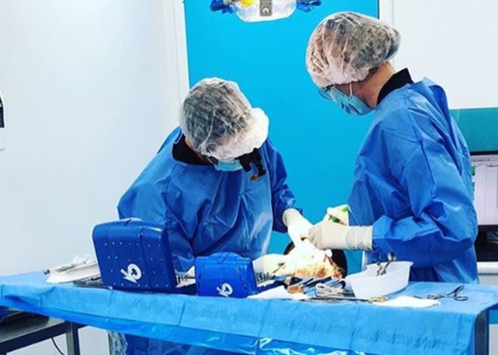 Dental Implant Procedure