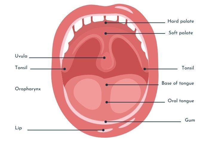 Oral Cancer Screening in Mount Lawley
