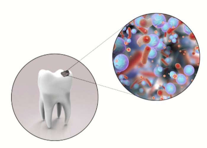 What is Oral Biofilm?